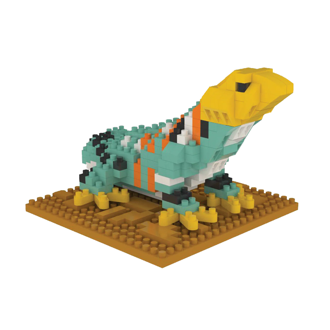 Collared Lizard - Image 8