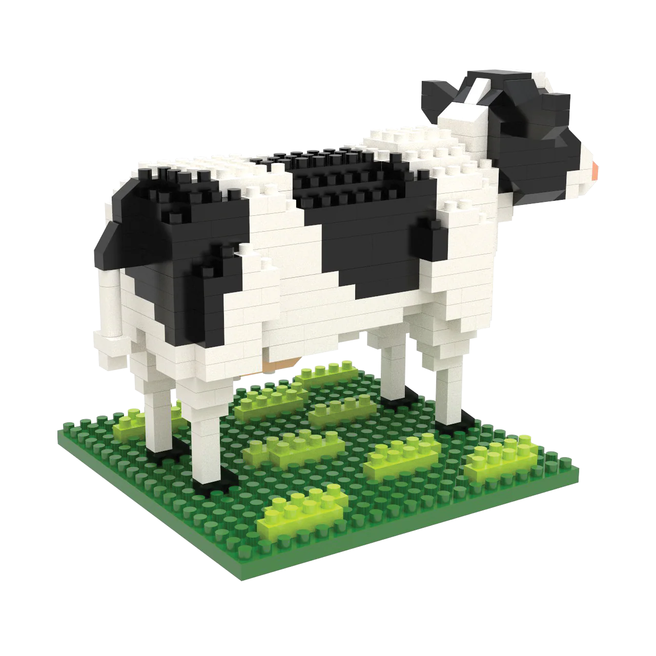 Cow - Image 5