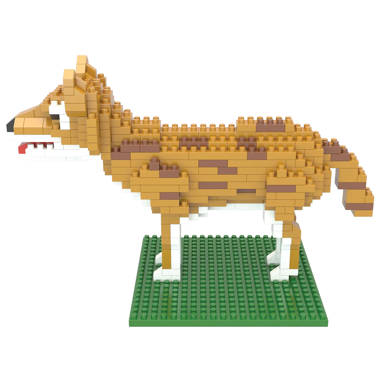 Coyote - Image 3