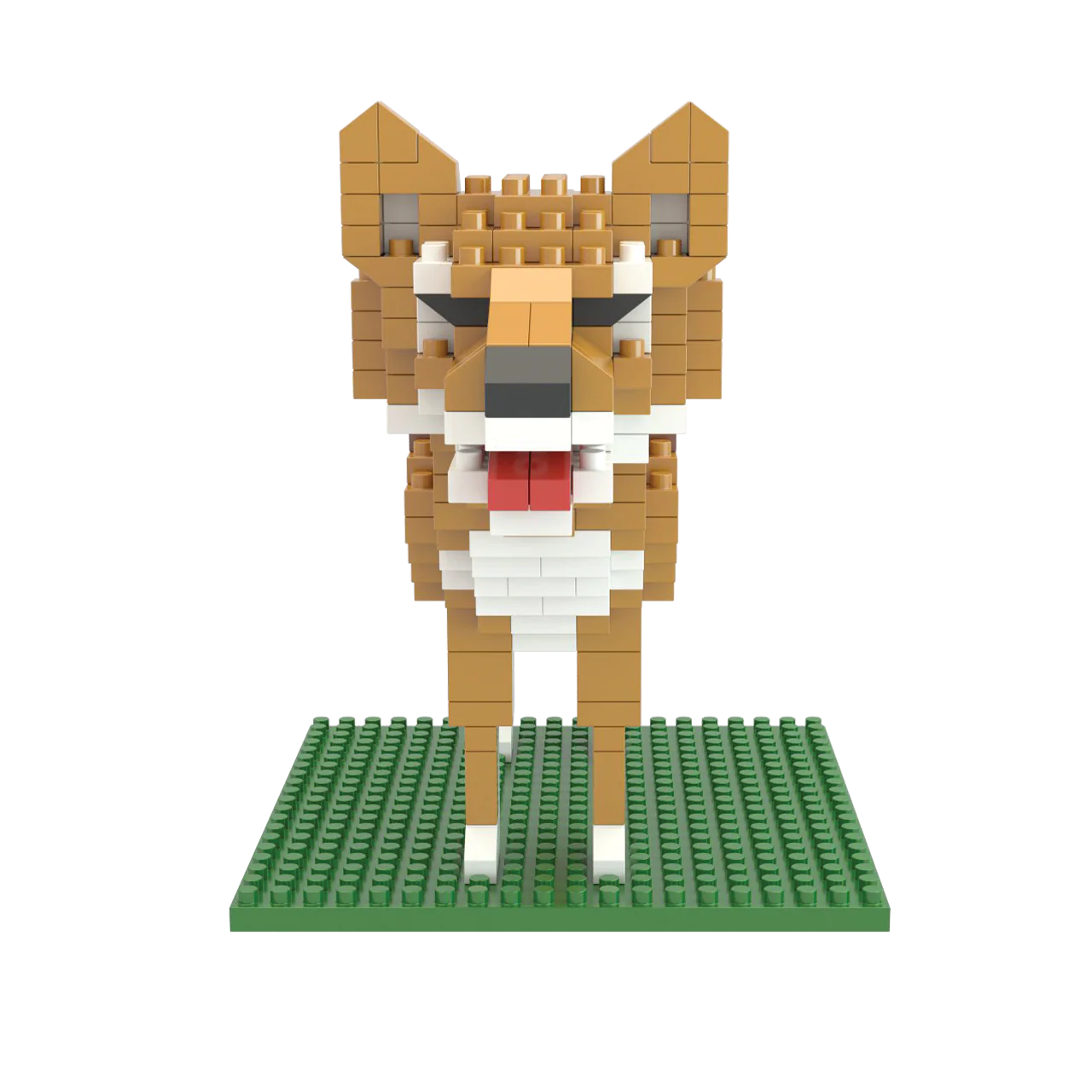 Coyote - Image 5
