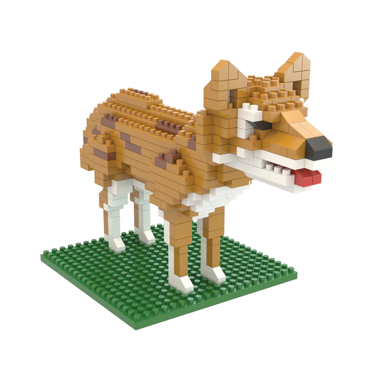 Coyote - Image 7