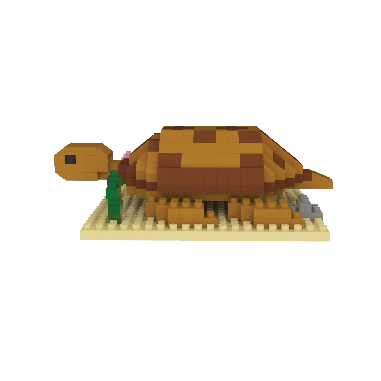 Desert Tortoise - Image 10