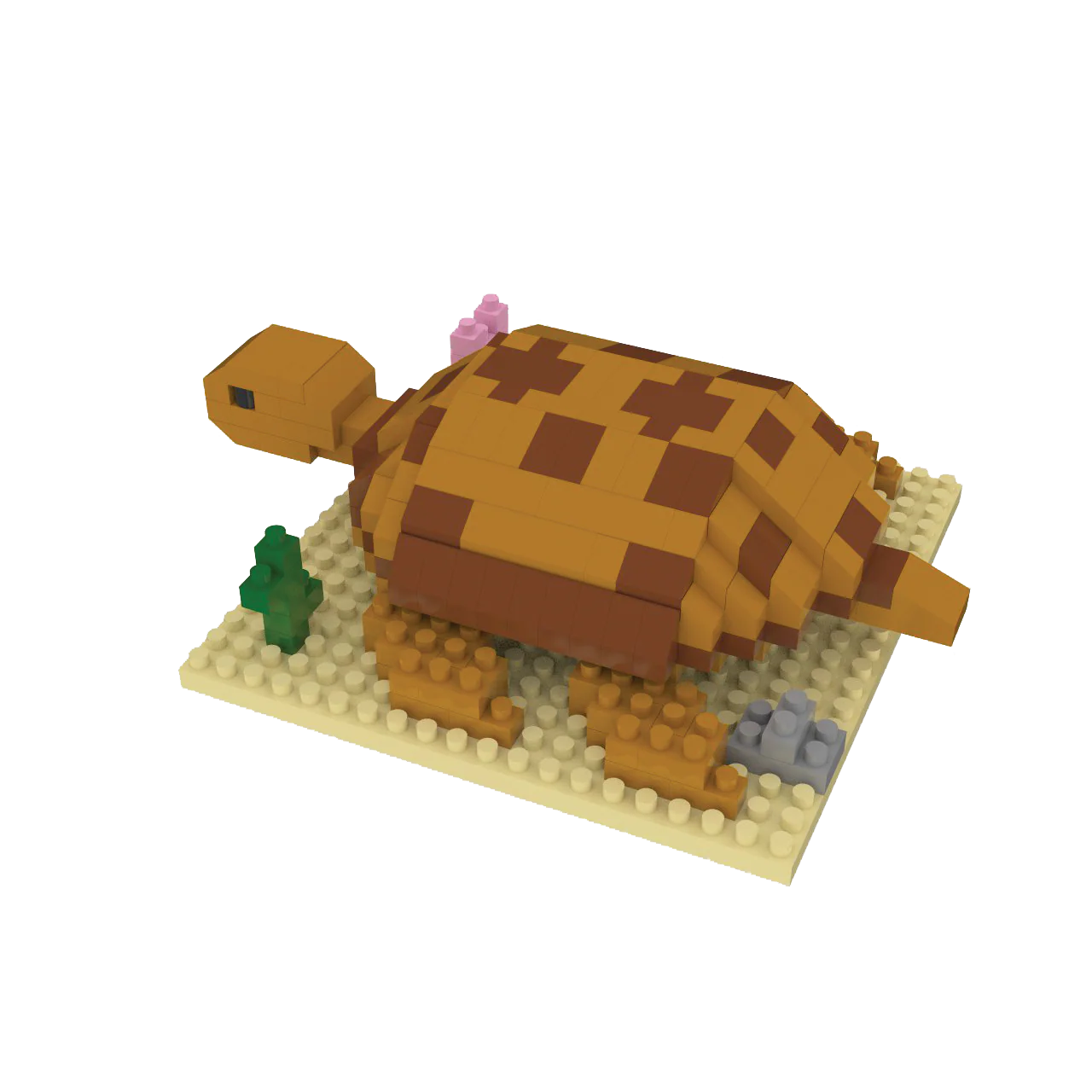 Desert Tortoise - Image 4