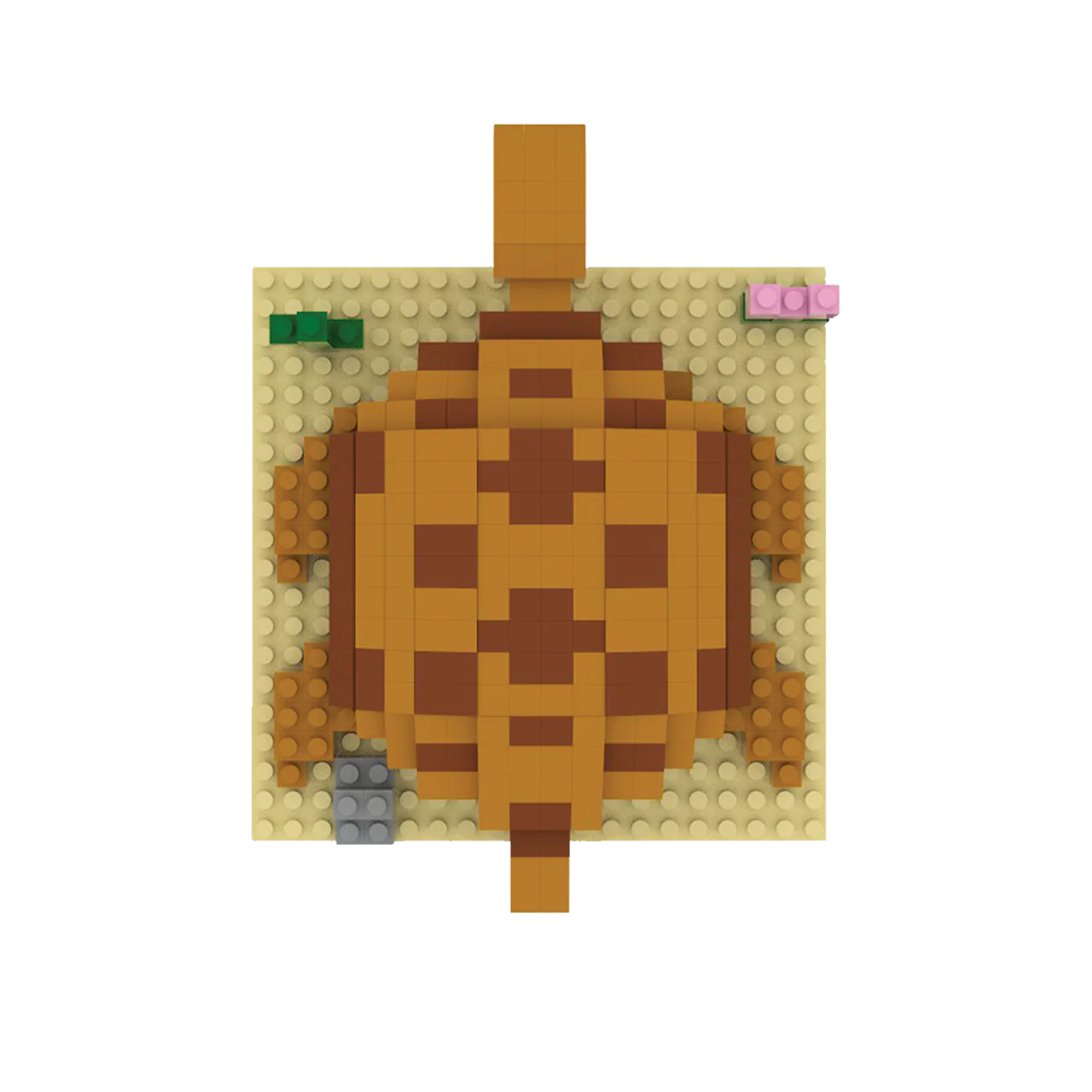 Desert Tortoise - Image 5