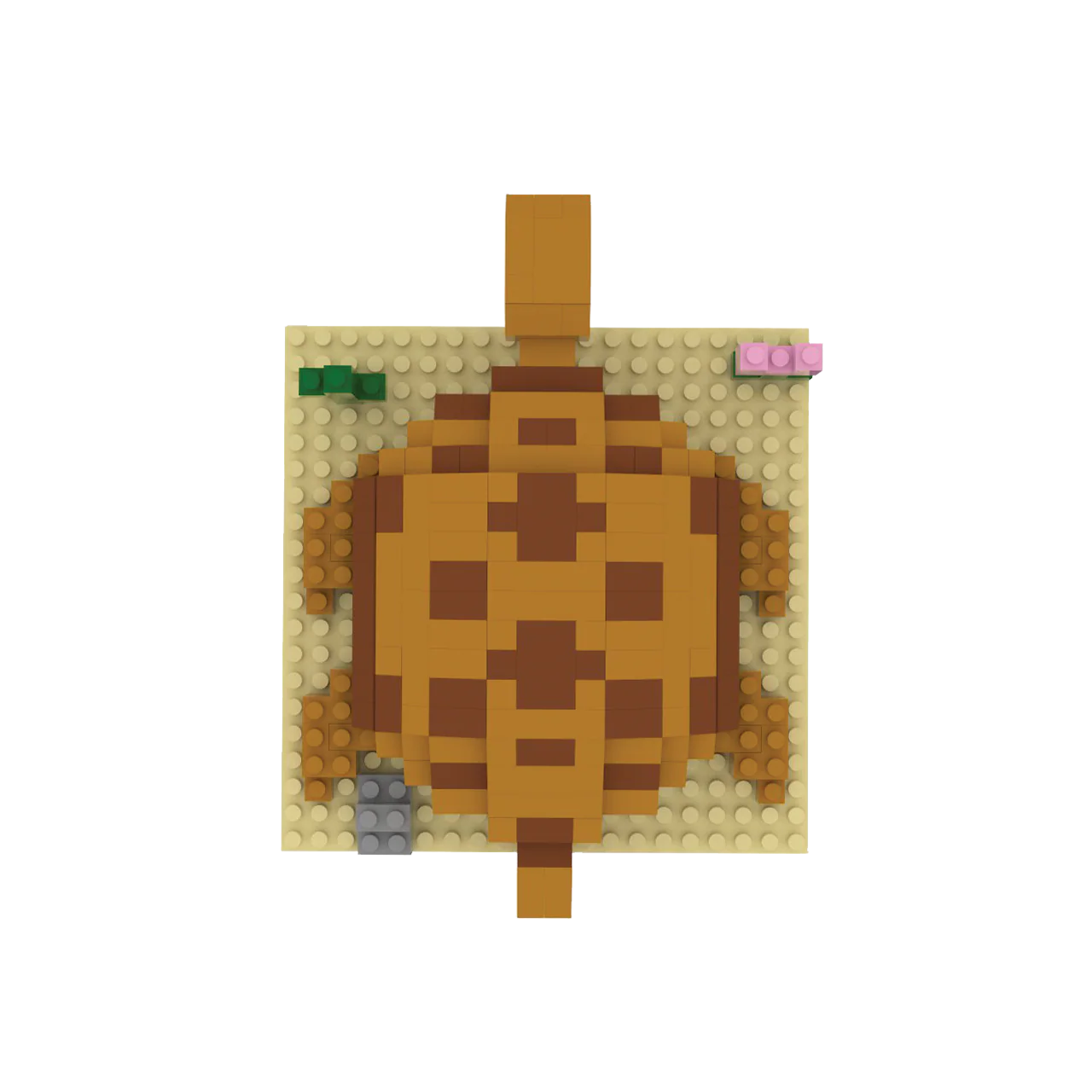 Desert Tortoise - Image 7