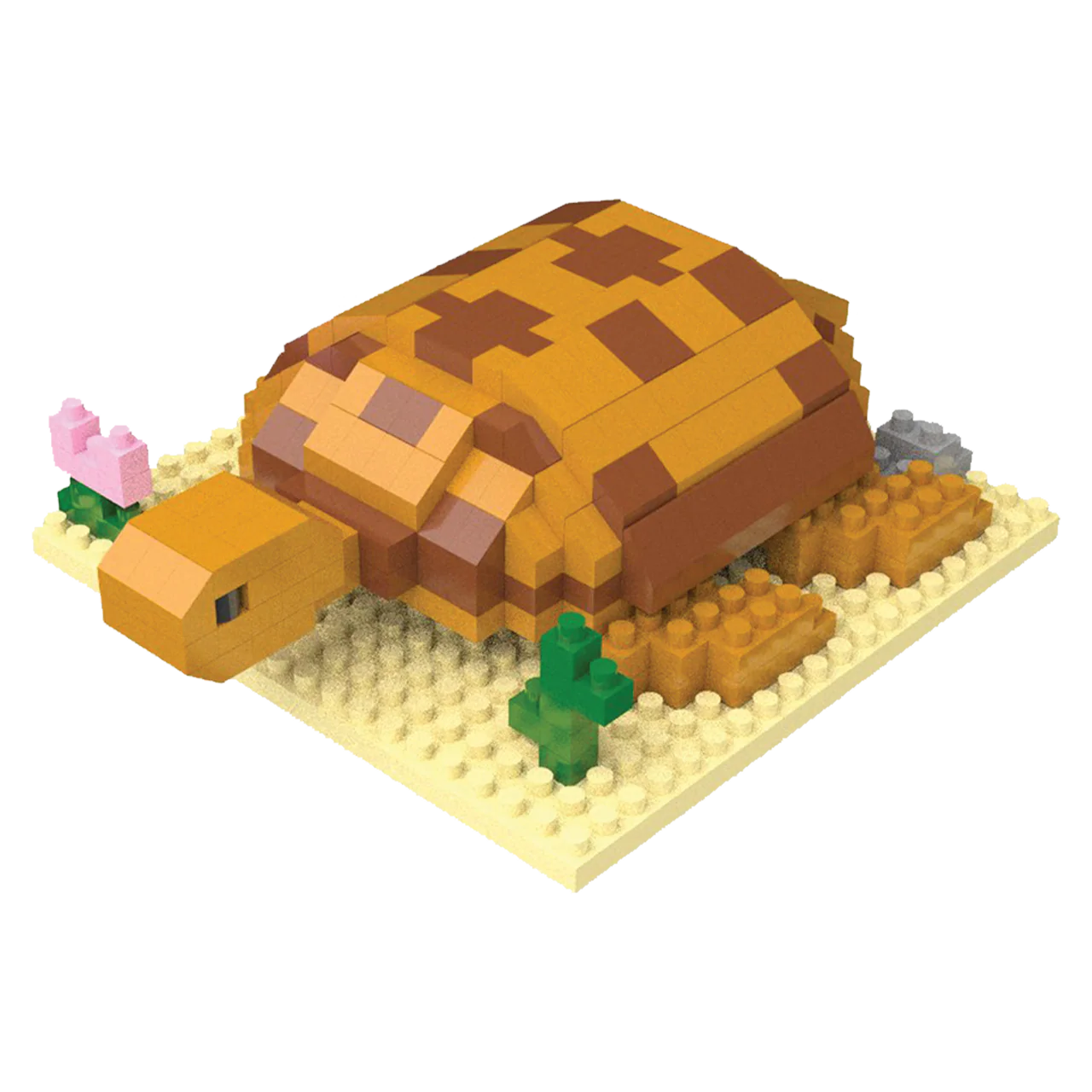Desert Tortoise - Image 9