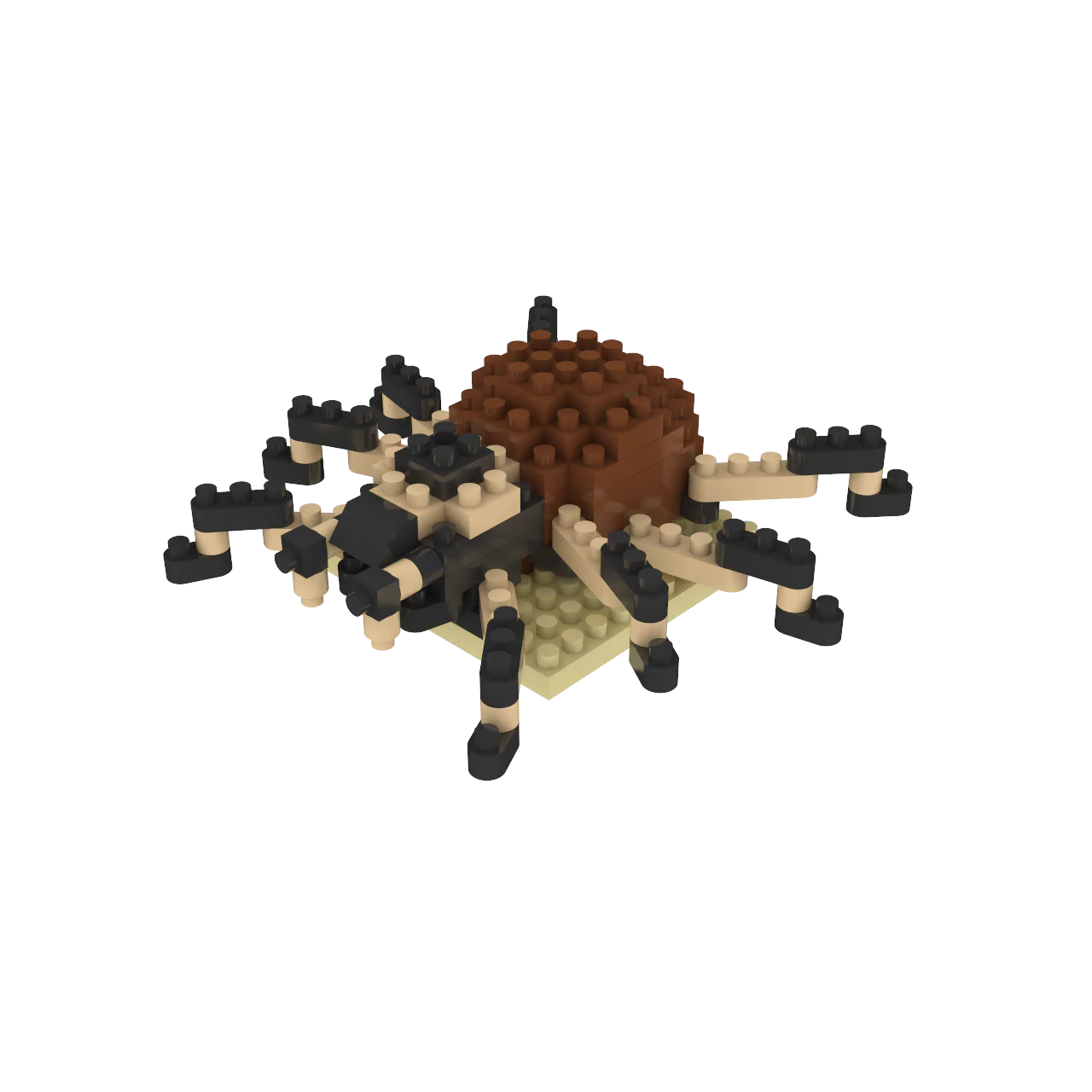 Desert Wildlife Mystery Pack - Image 5