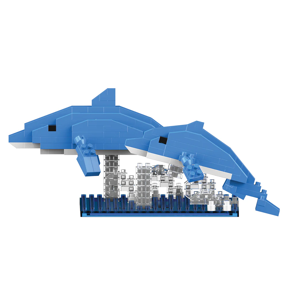Dolphin - Image 6