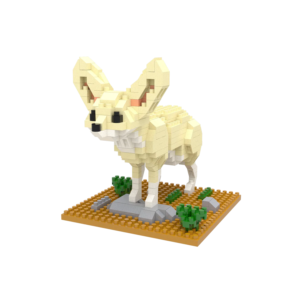 Fennec Fox - Image 4