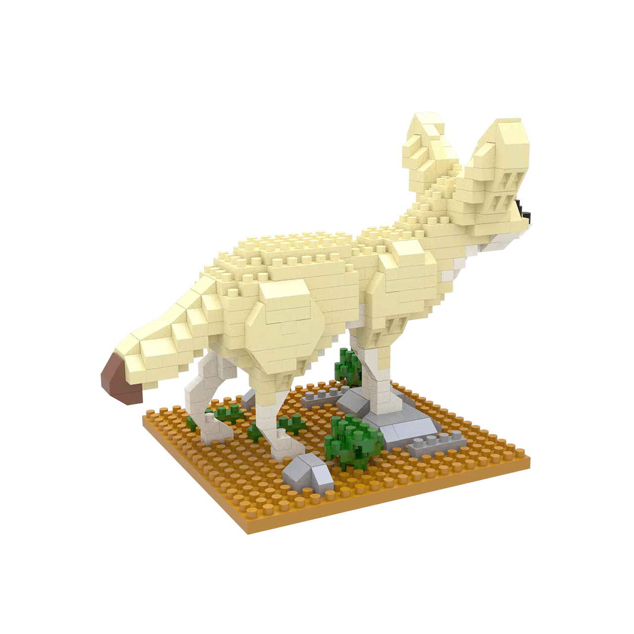 Fennec Fox - Image 7