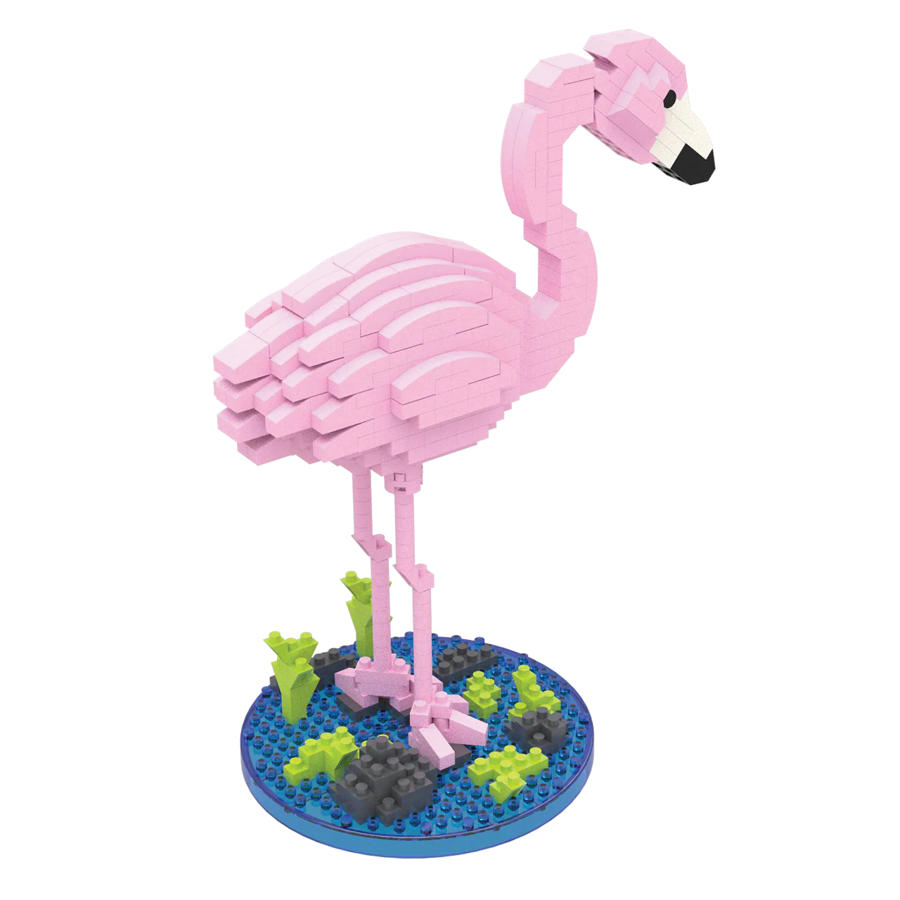 Flamingo - Image 7