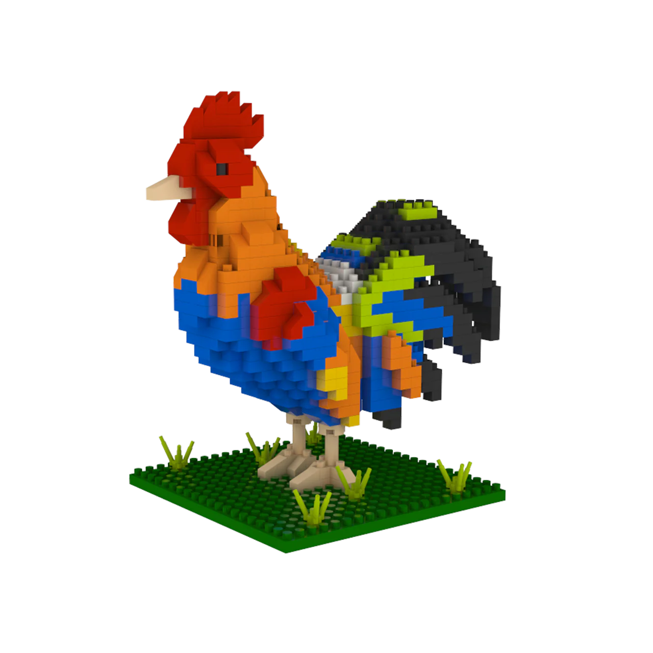 Florida Rooster - Image 3