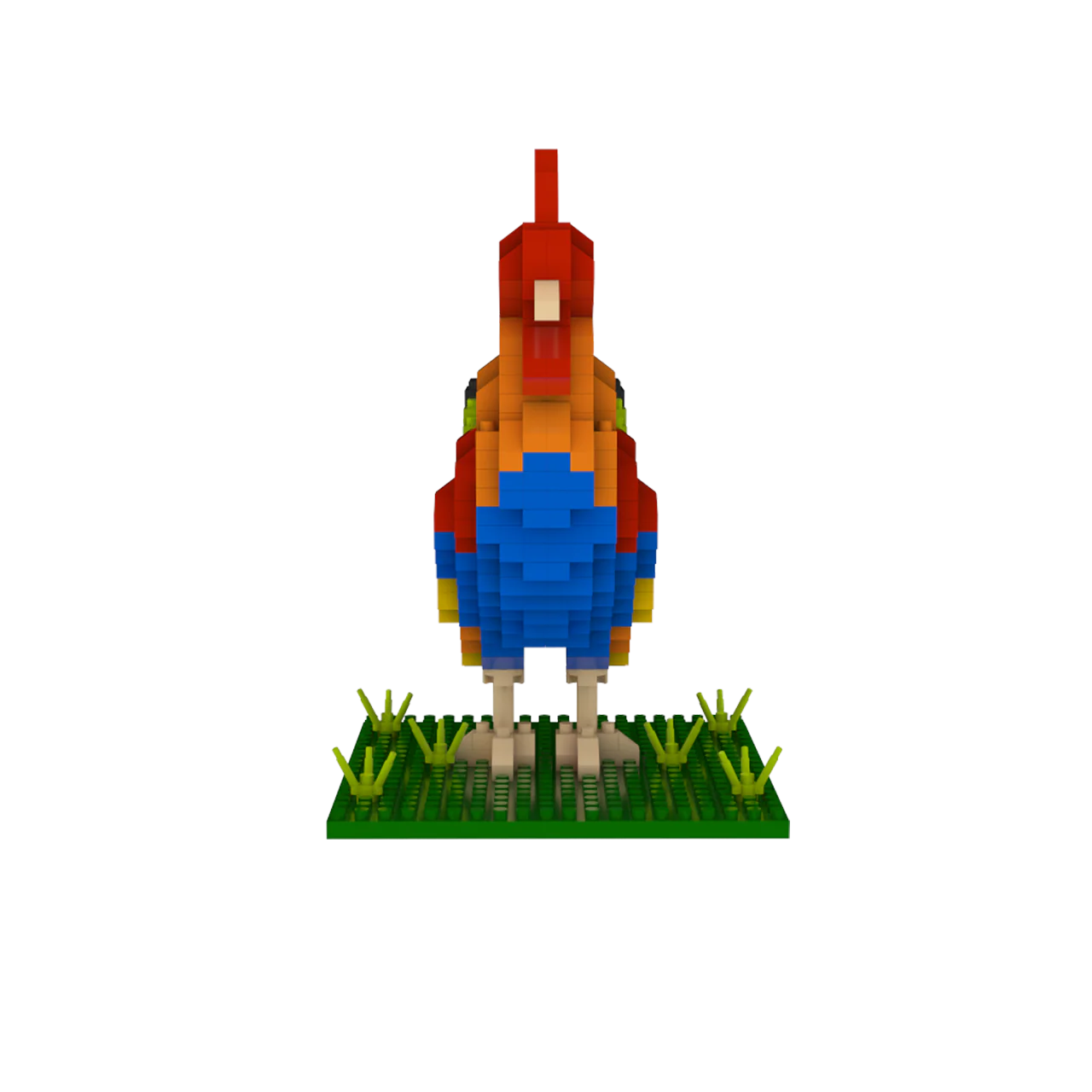 Florida Rooster - Image 5