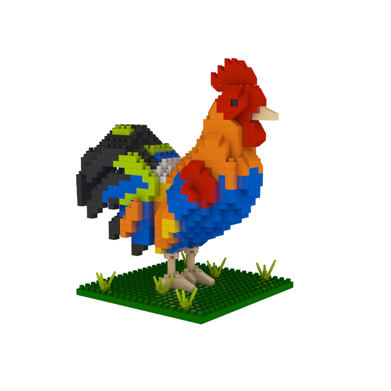 Florida Rooster - Image 6