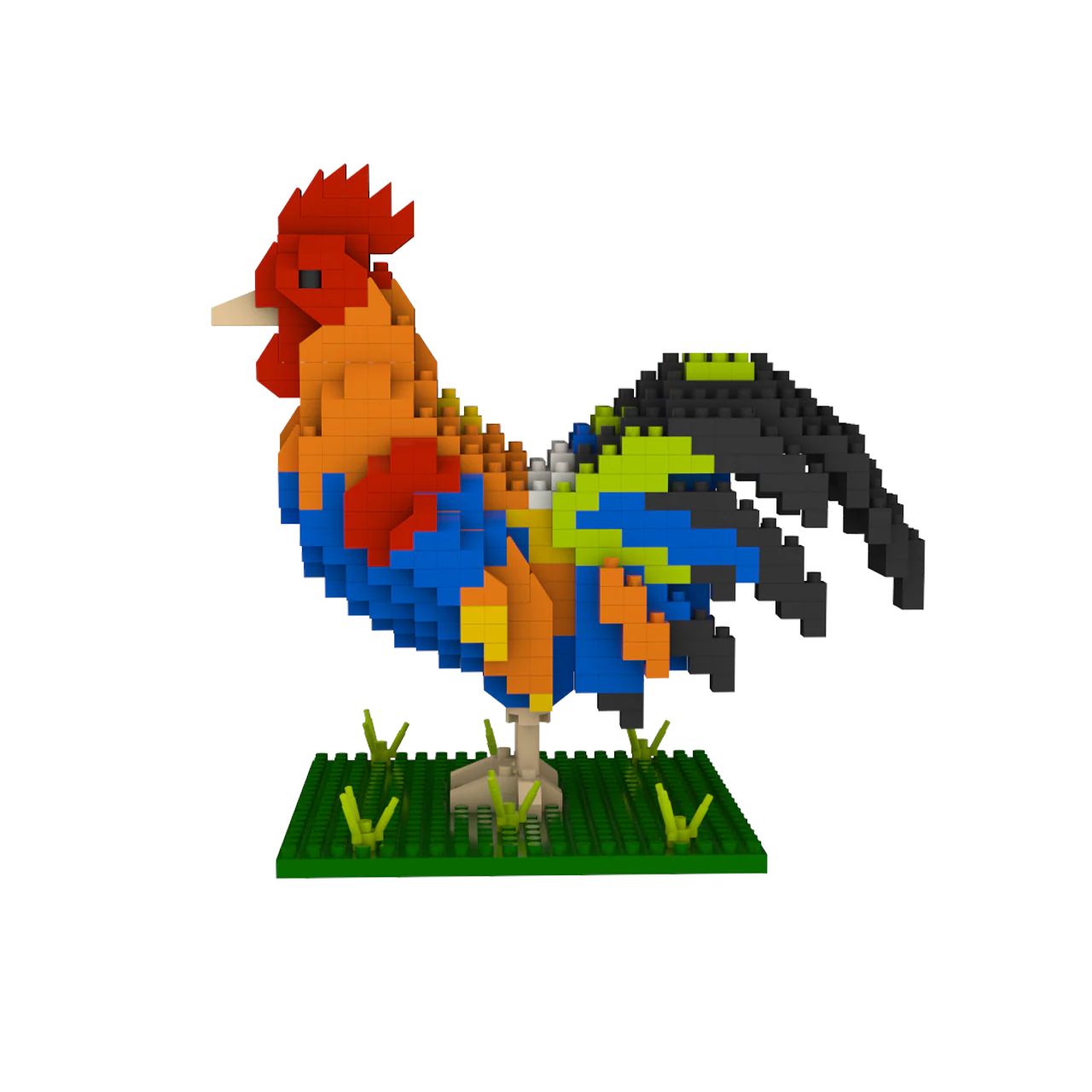 Florida Rooster - Image 7
