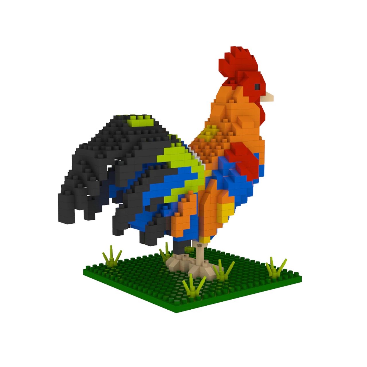 Florida Rooster - Image 8