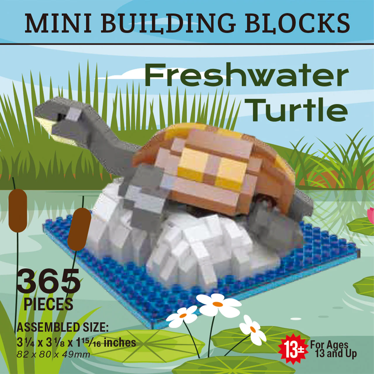 Freshwater Turtle