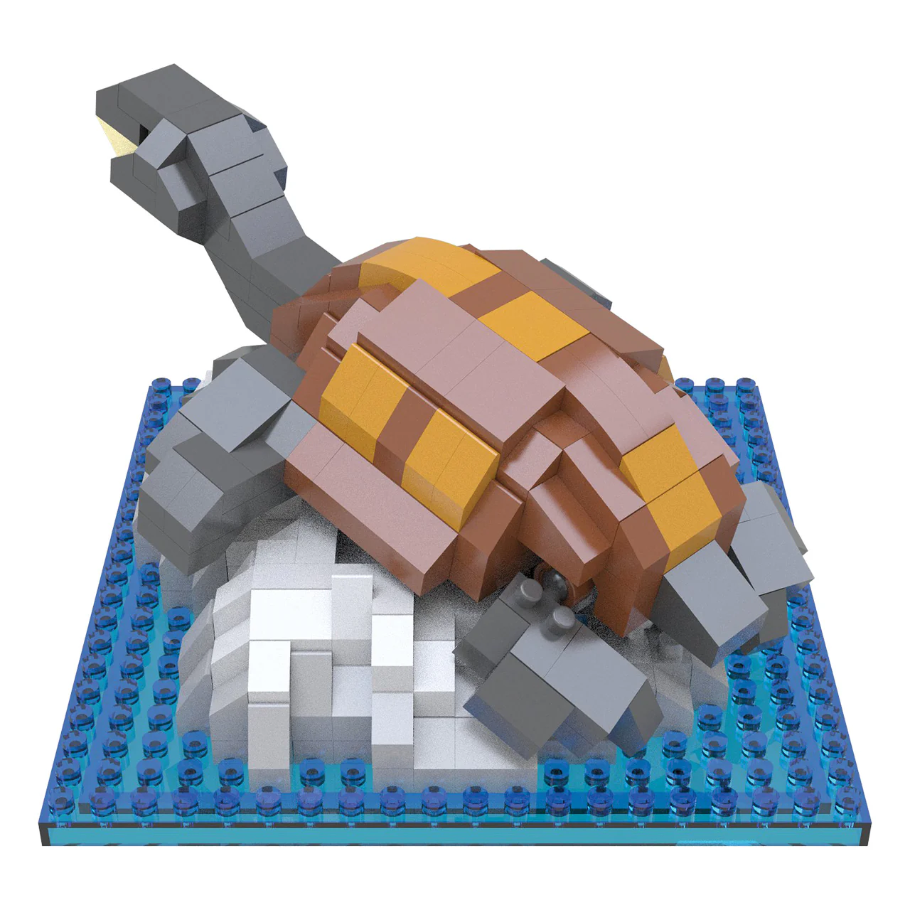 Freshwater Turtle - Image 2