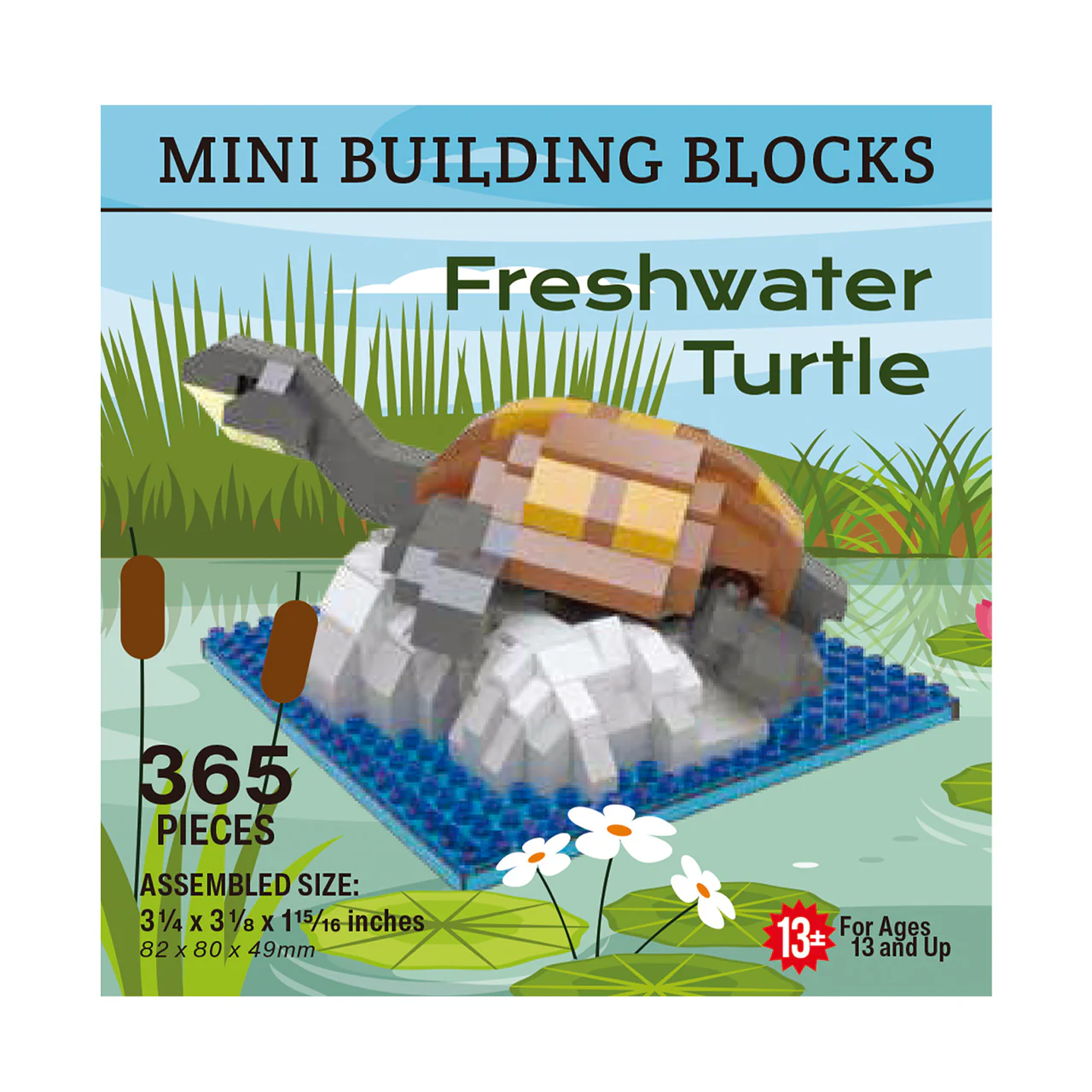 Freshwater Turtle - Image 3
