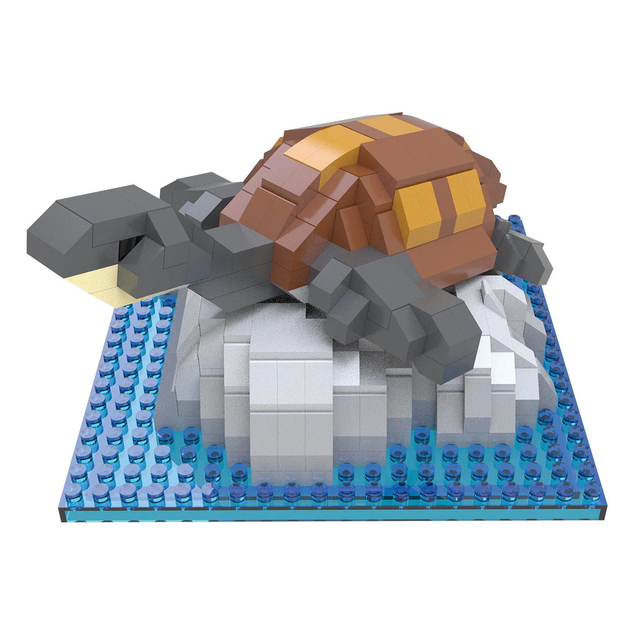 Freshwater Turtle - Image 4
