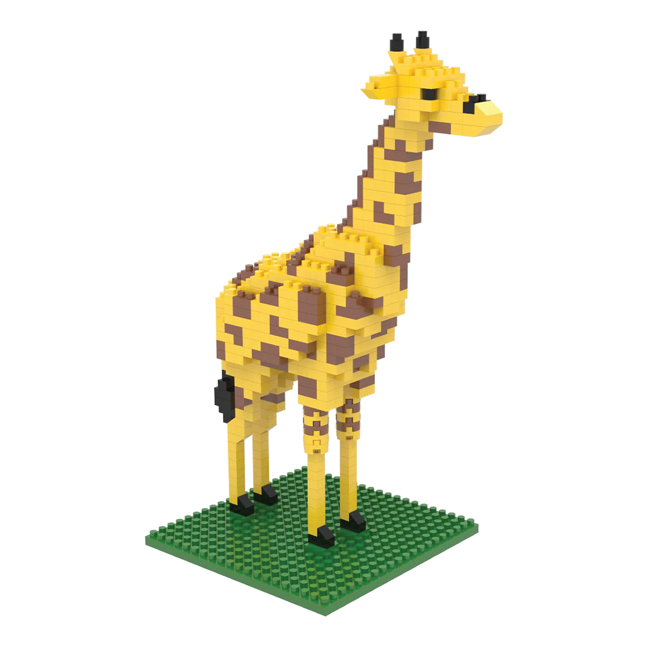 Giraffe - Image 7