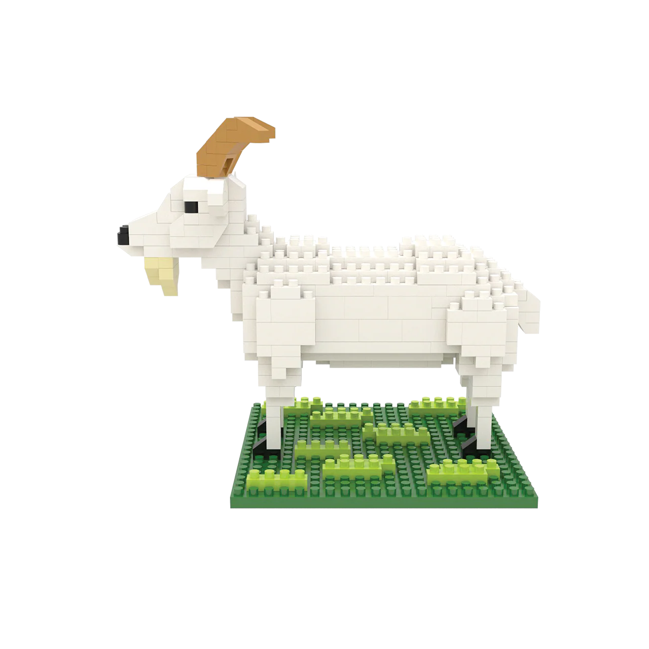 Goat - Image 3