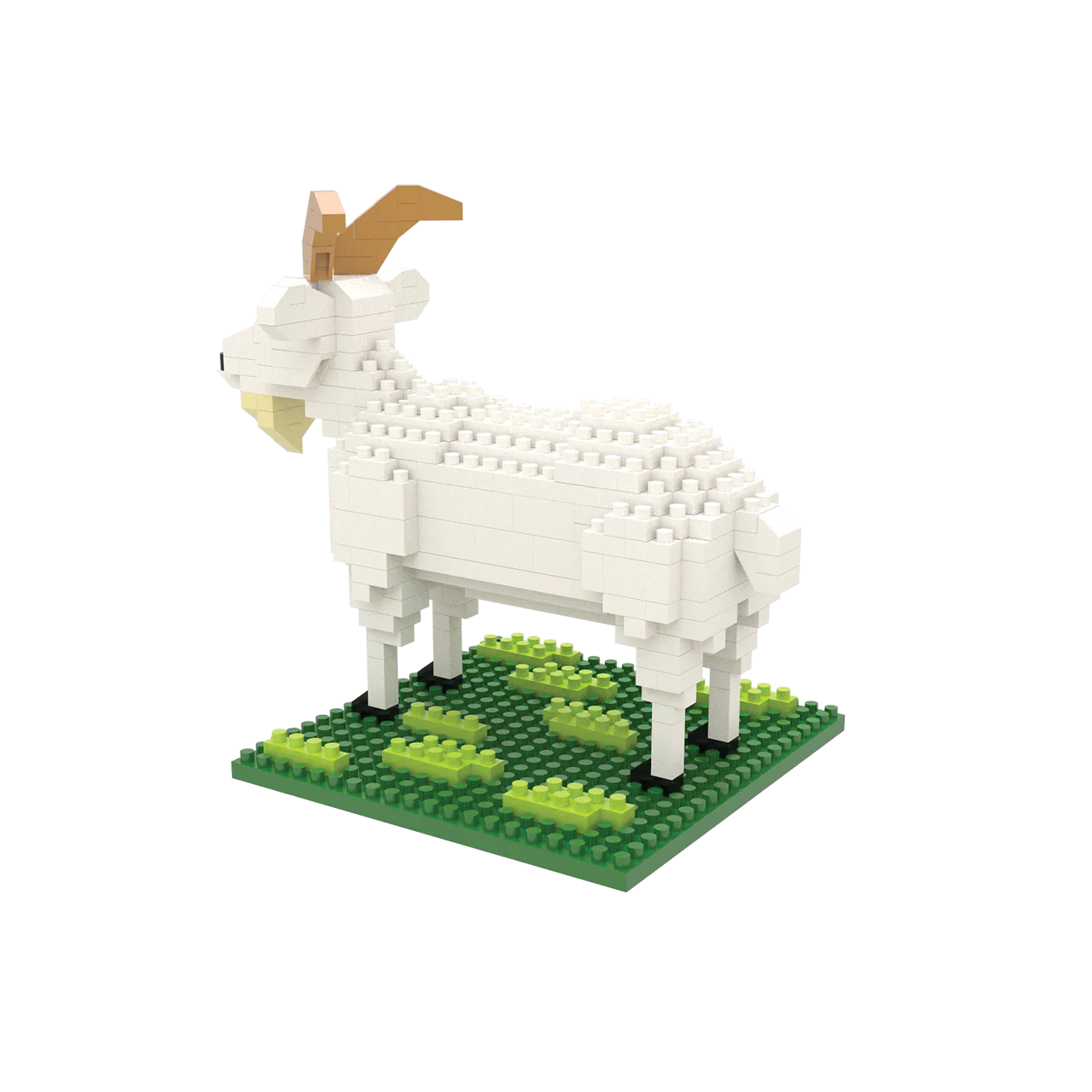 Goat - Image 4