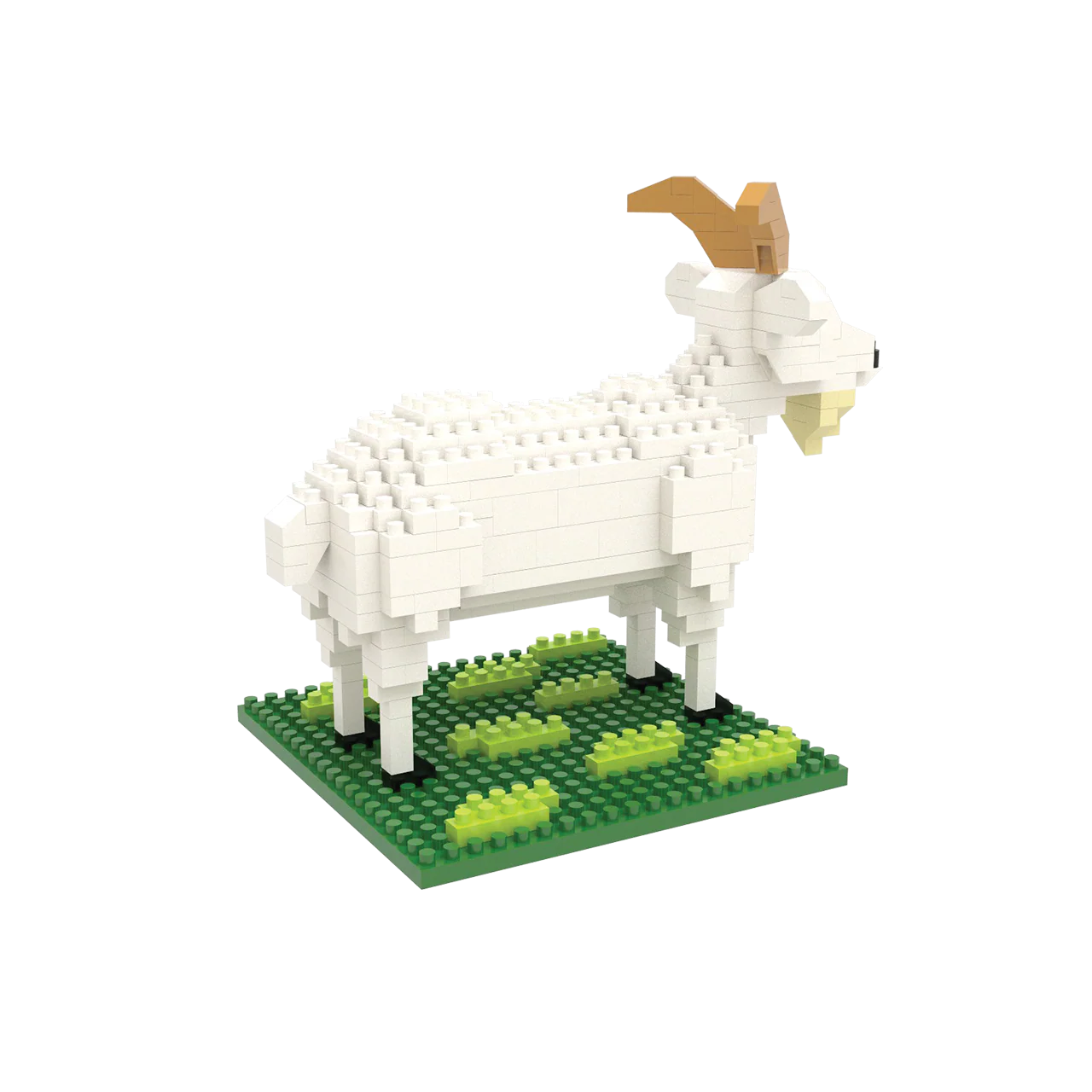 Goat - Image 6