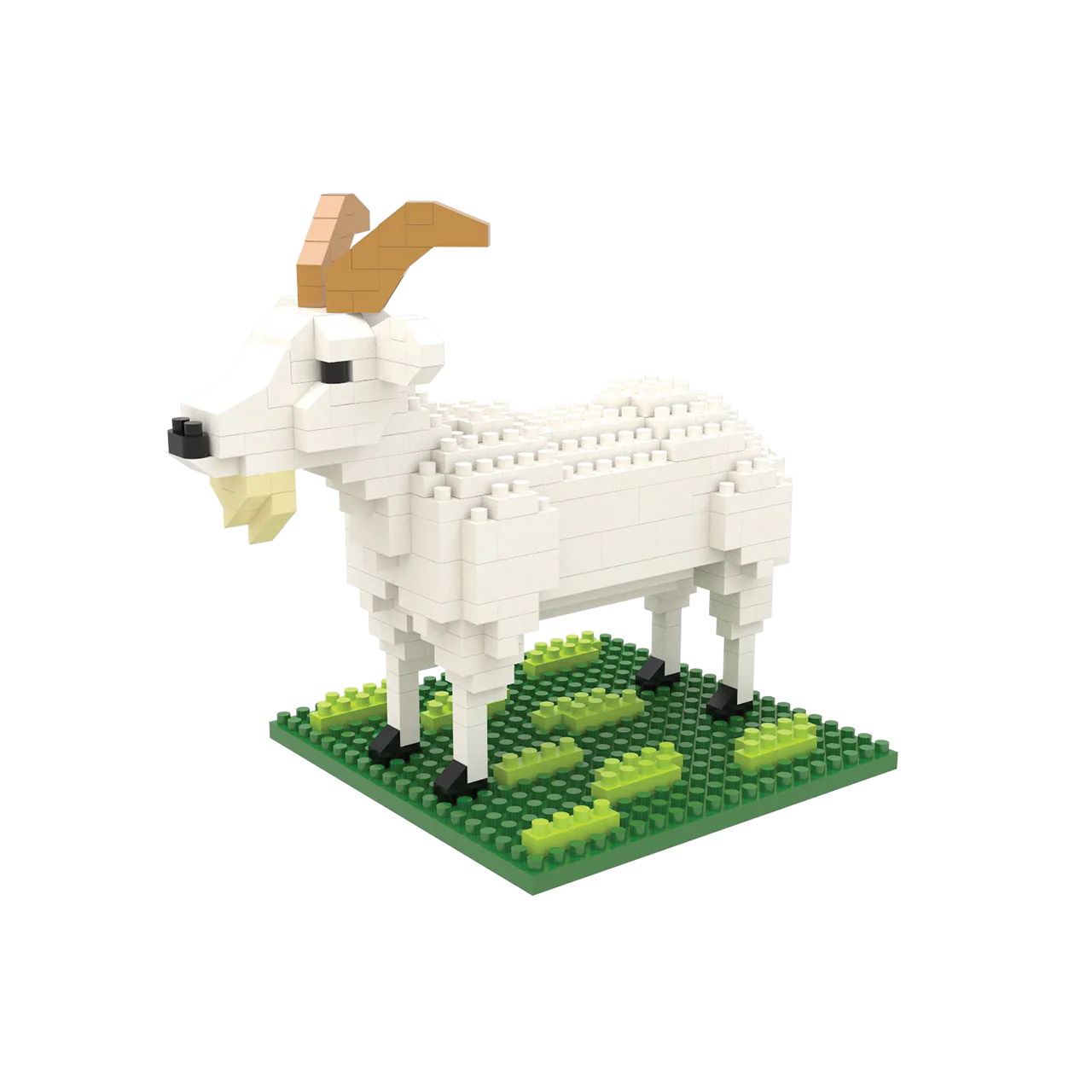 Goat - Image 8
