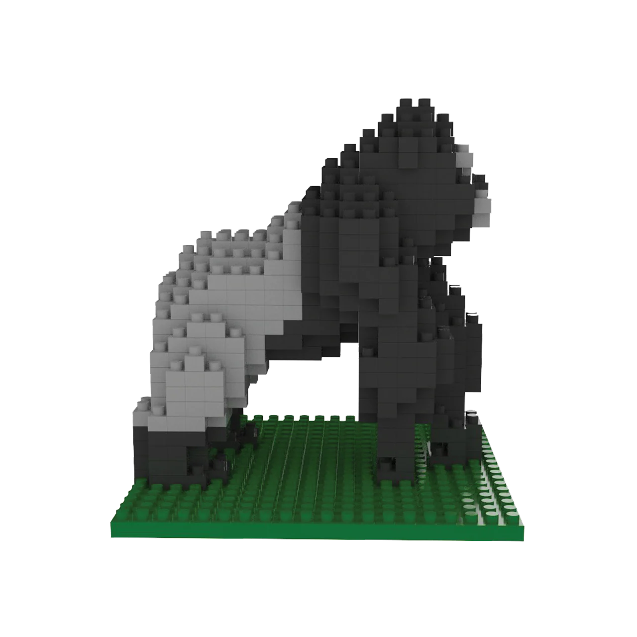 Gorilla - Image 6