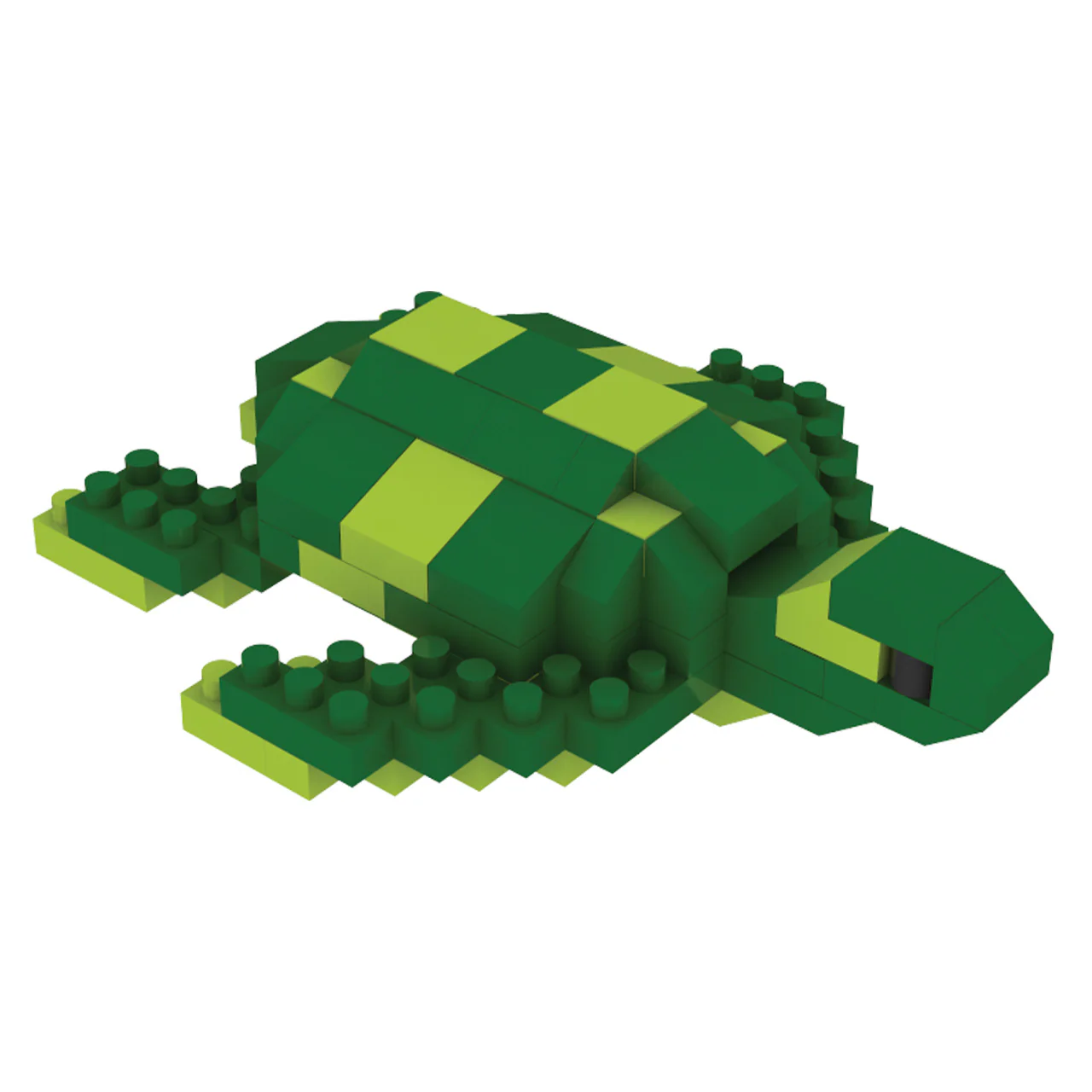 Green Sea Turtle Magnet - Image 3