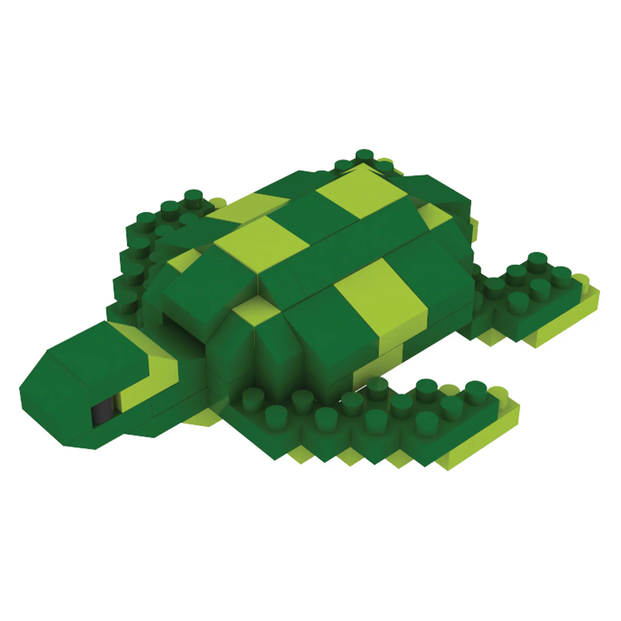Green Sea Turtle Magnet - Image 4