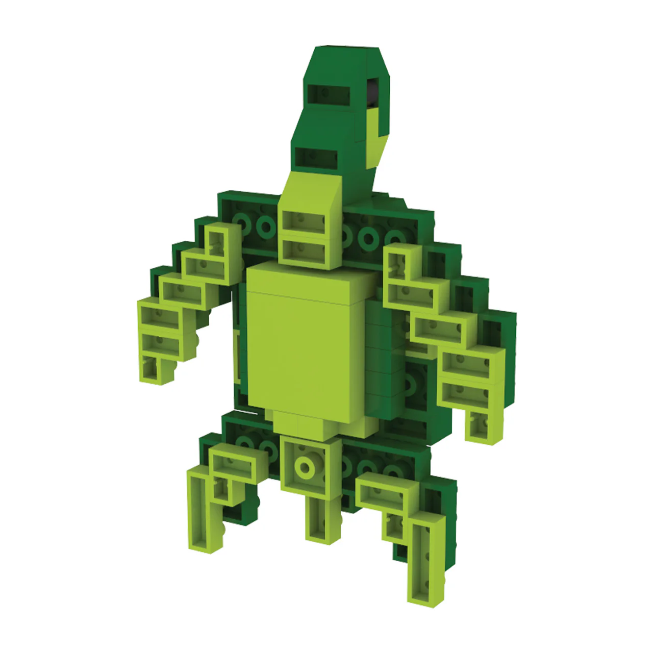 Green Sea Turtle Magnet - Image 5