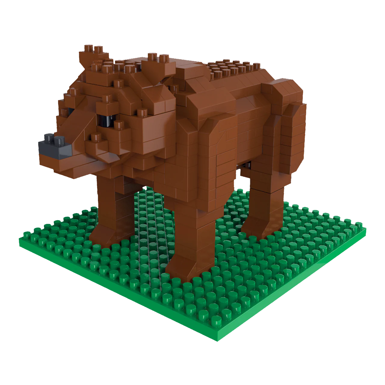 Grizzly Bear - Image 3