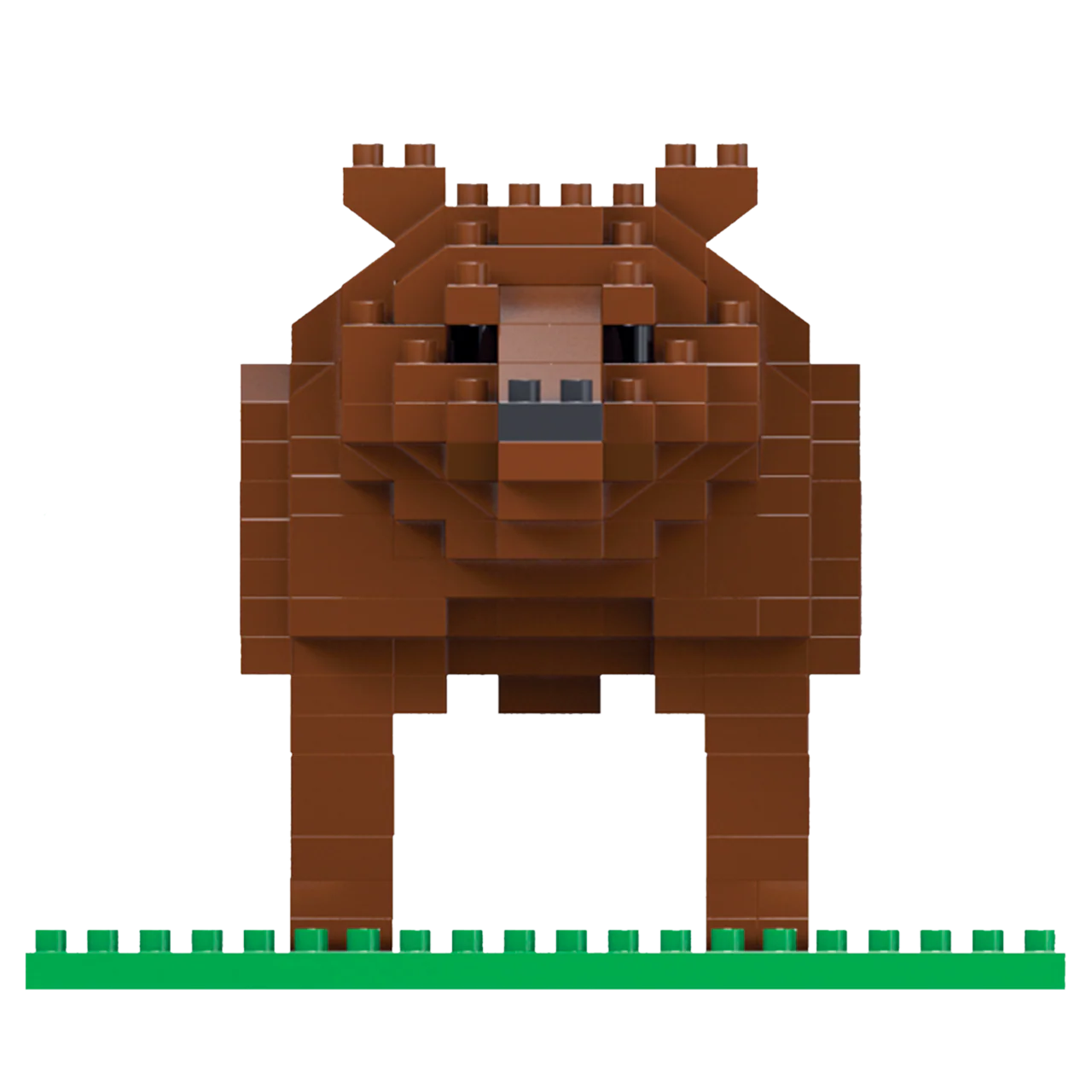 Grizzly Bear - Image 4