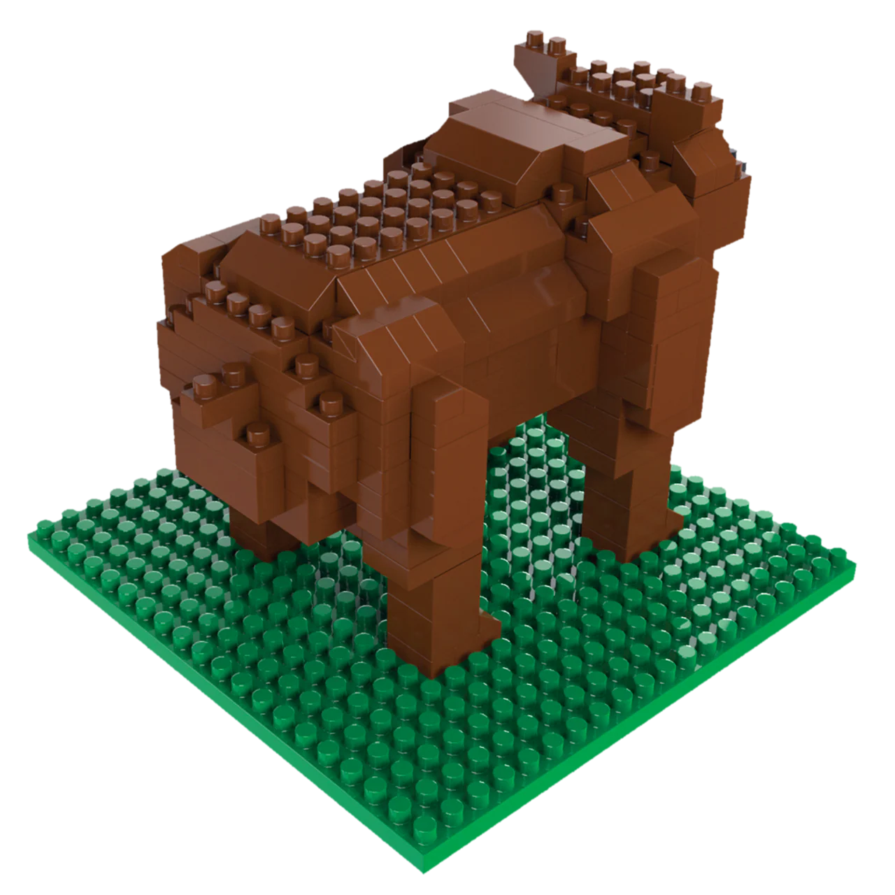 Grizzly Bear - Image 5