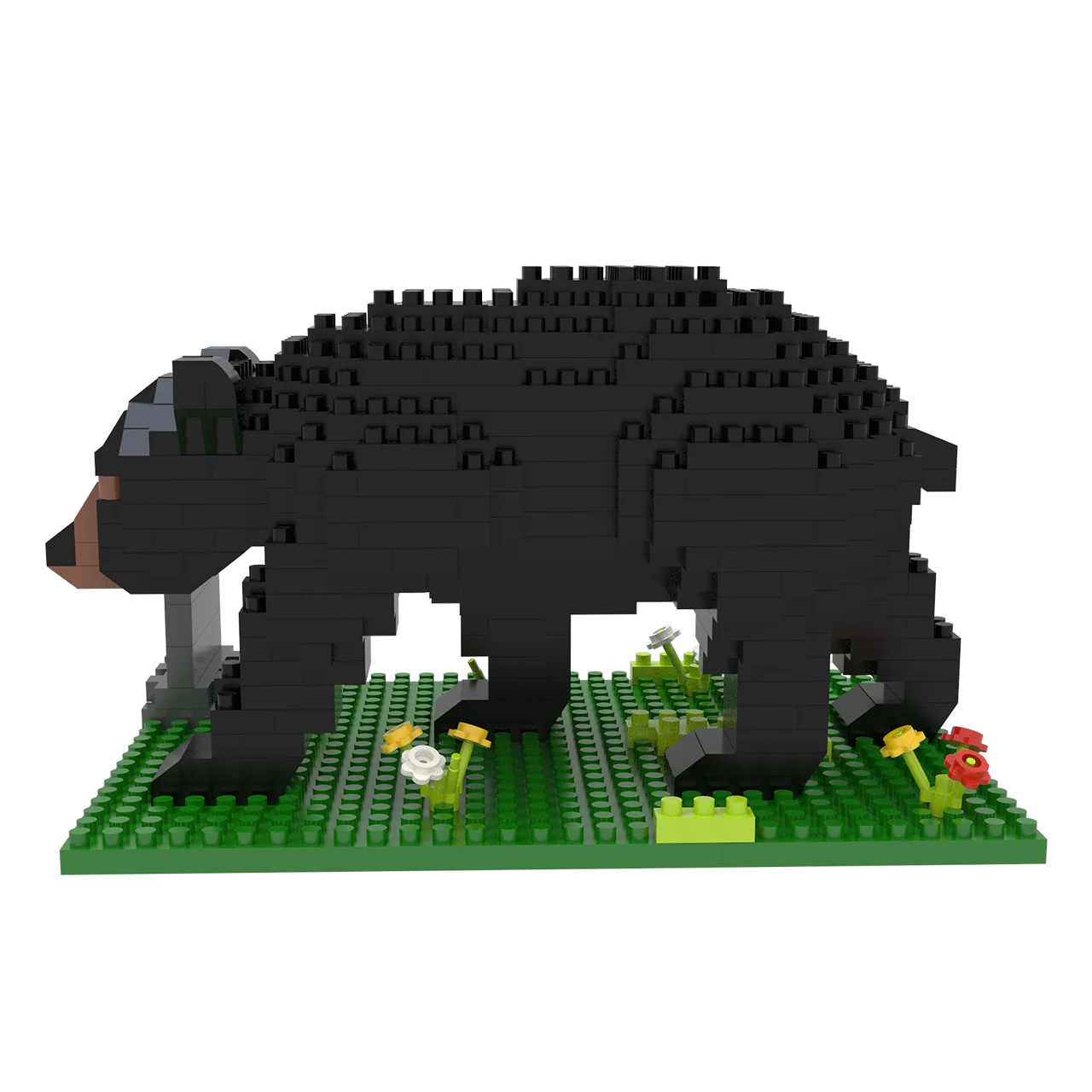 GSM Black Bear - Image 3