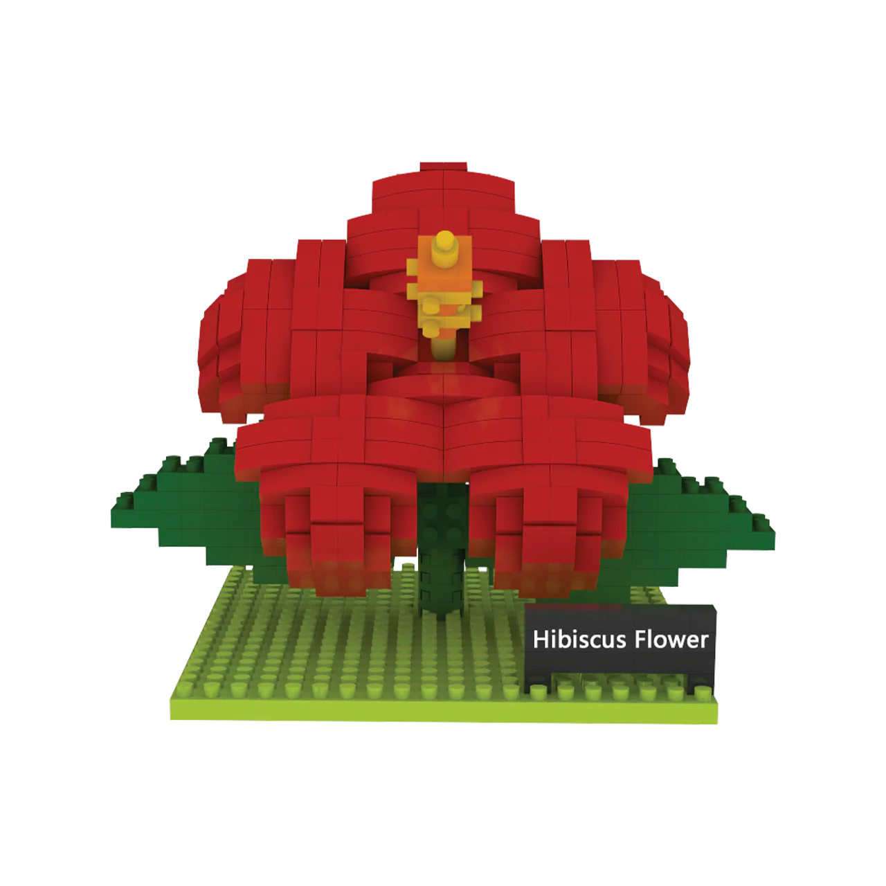Hibiscus Flower - Image 7