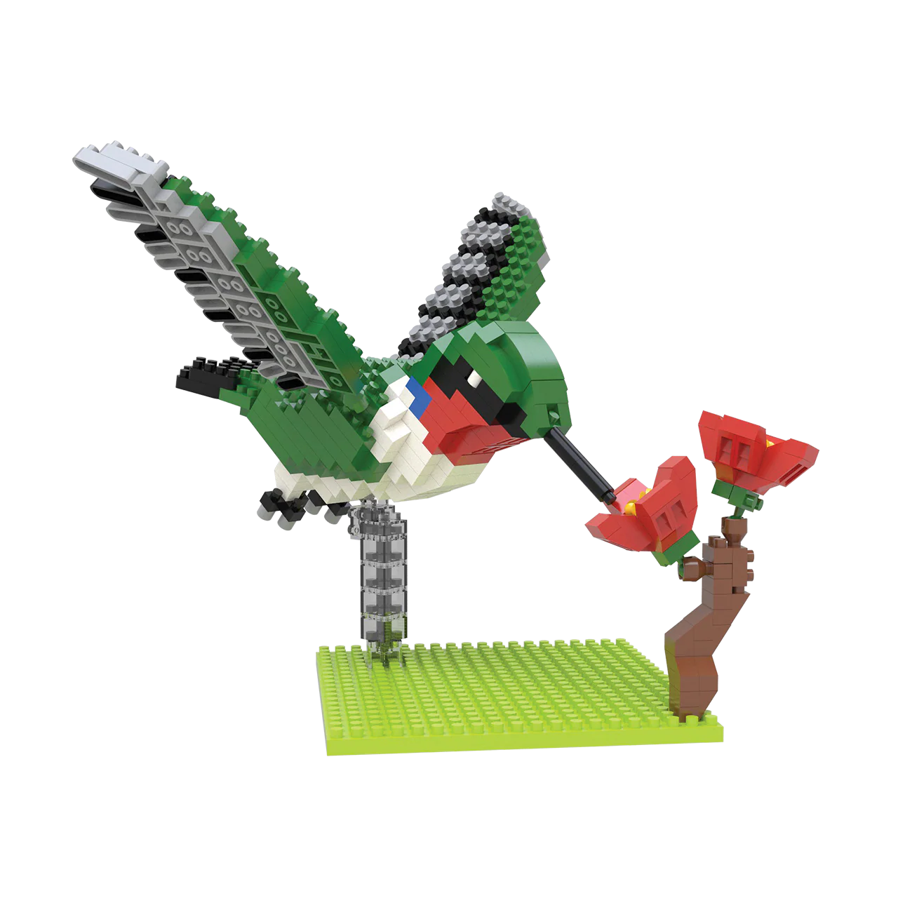 Hummingbird - Image 2