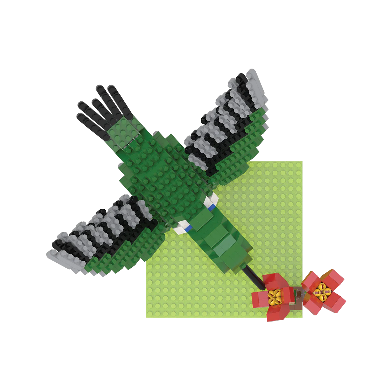 Hummingbird - Image 3
