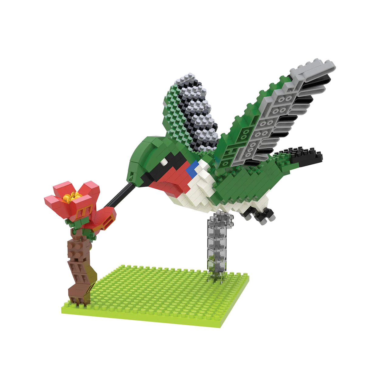 Hummingbird - Image 4