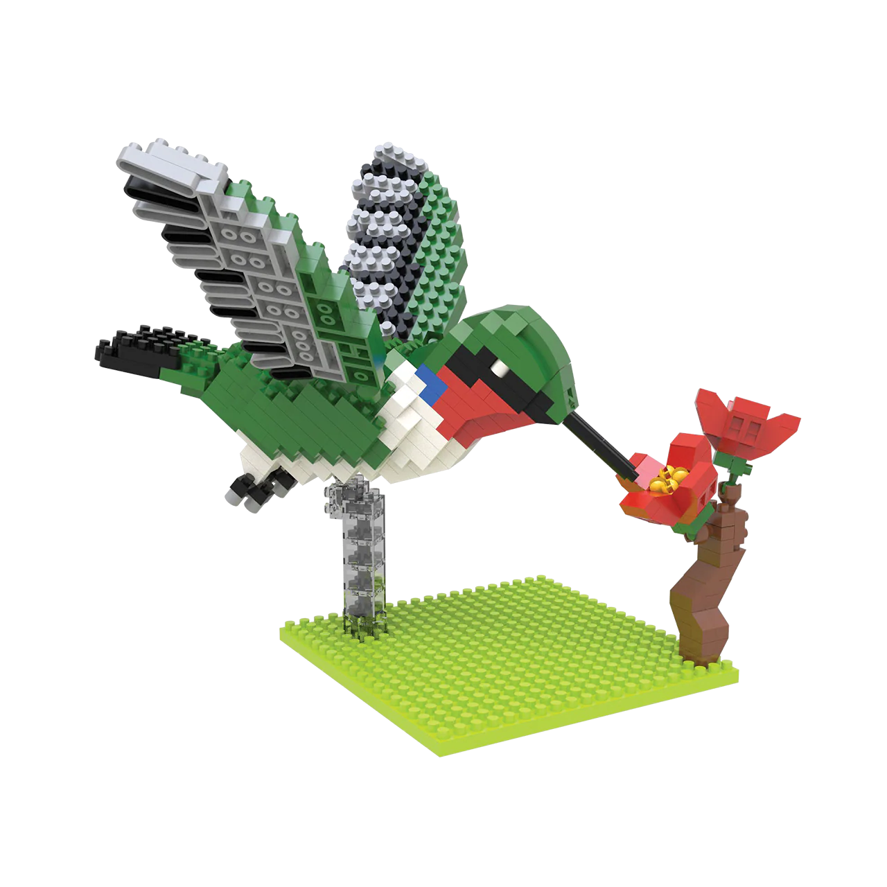 Hummingbird - Image 5