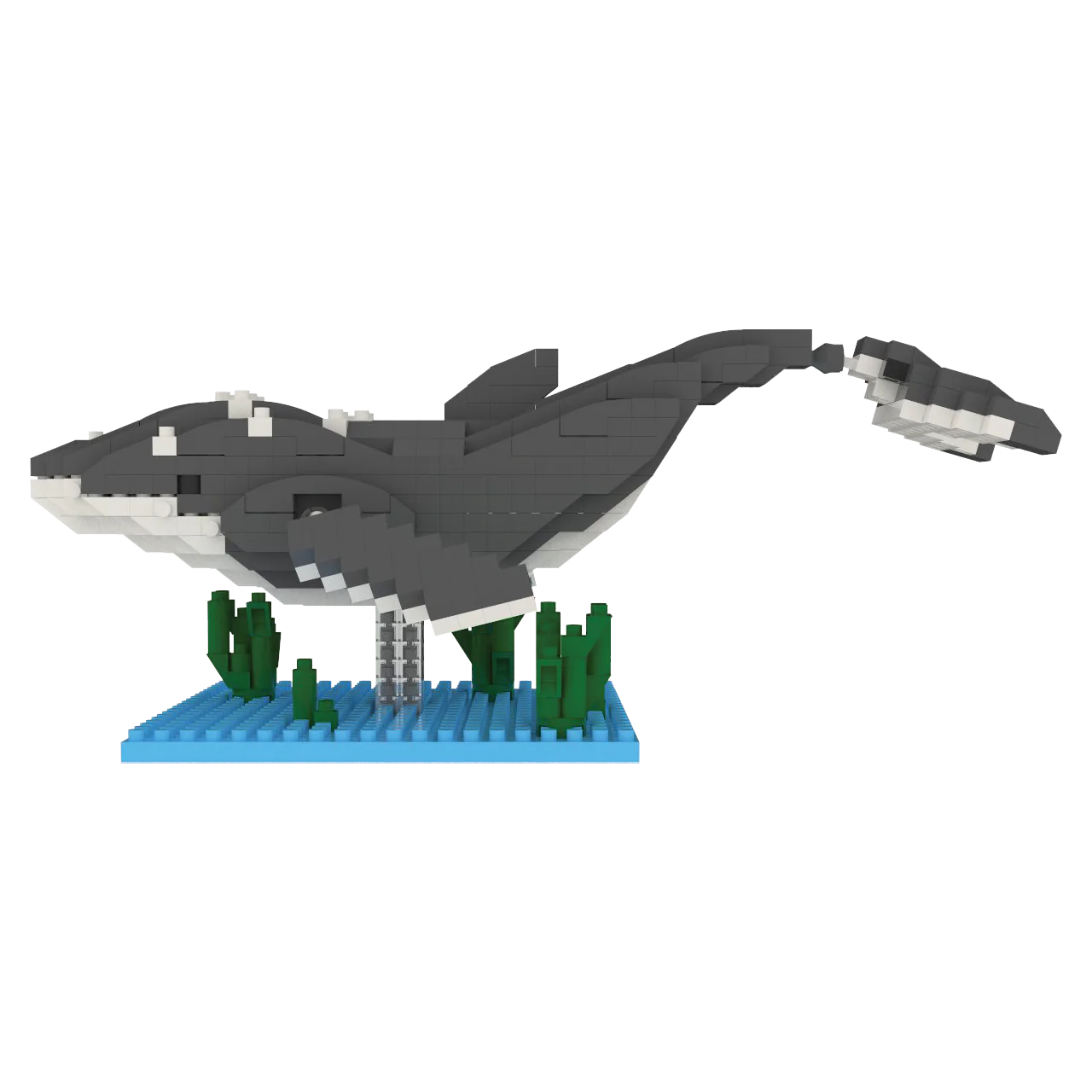 Humpback Whale - Image 4