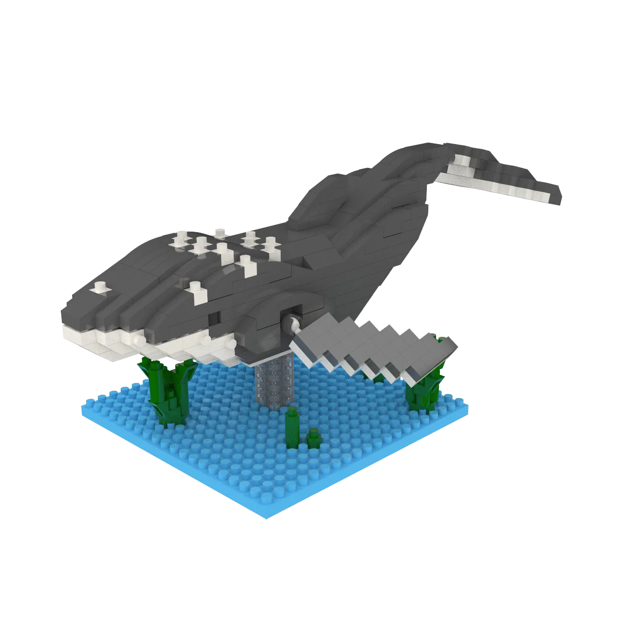 Humpback Whale - Image 5