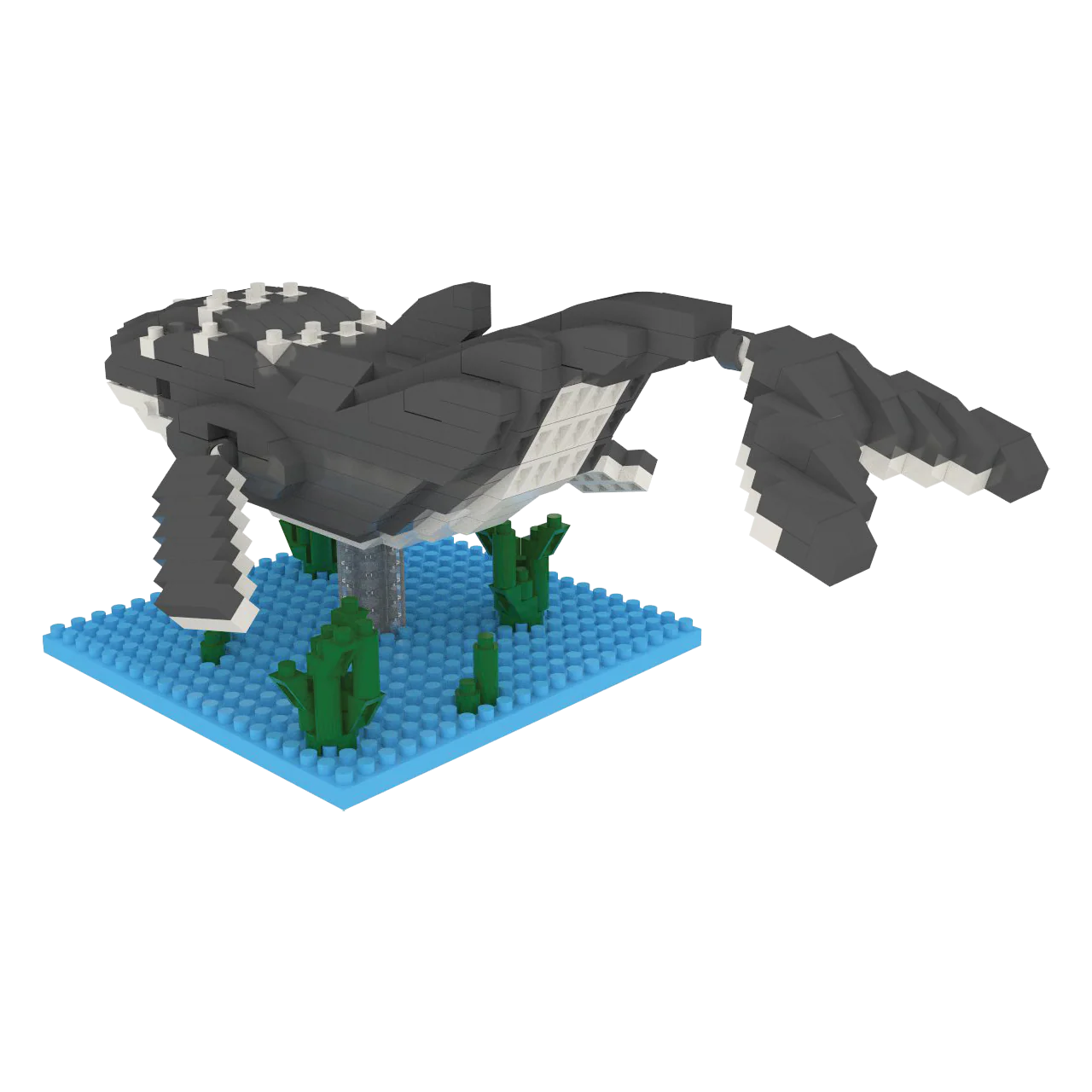 Humpback Whale - Image 6