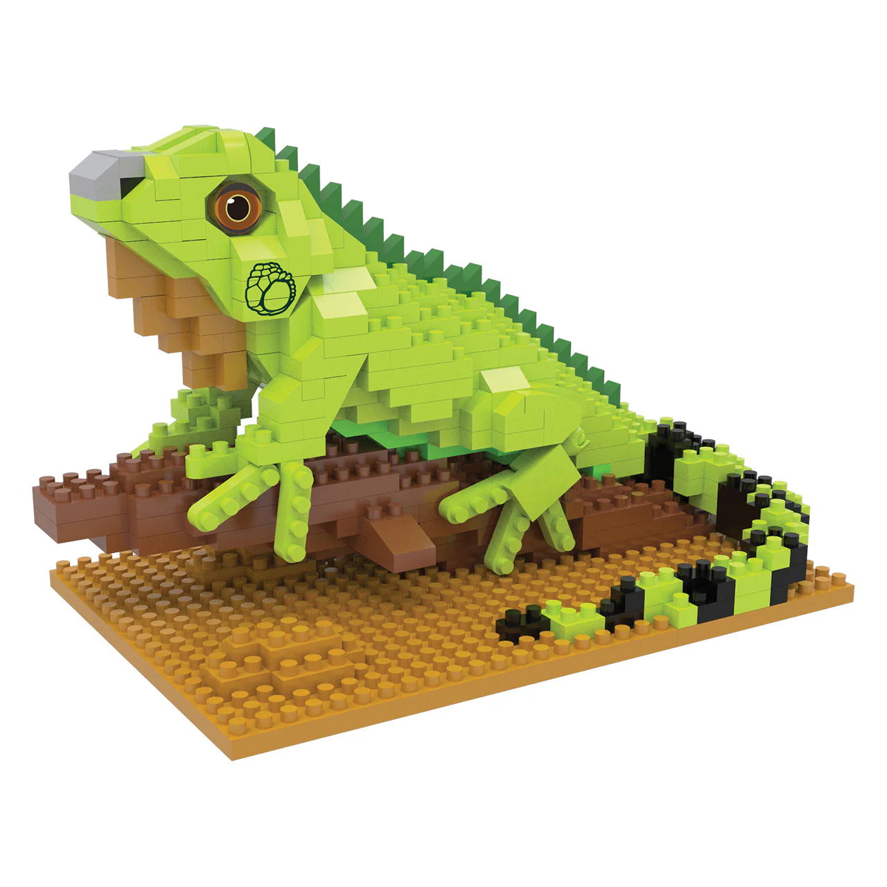 Iguana - Image 2