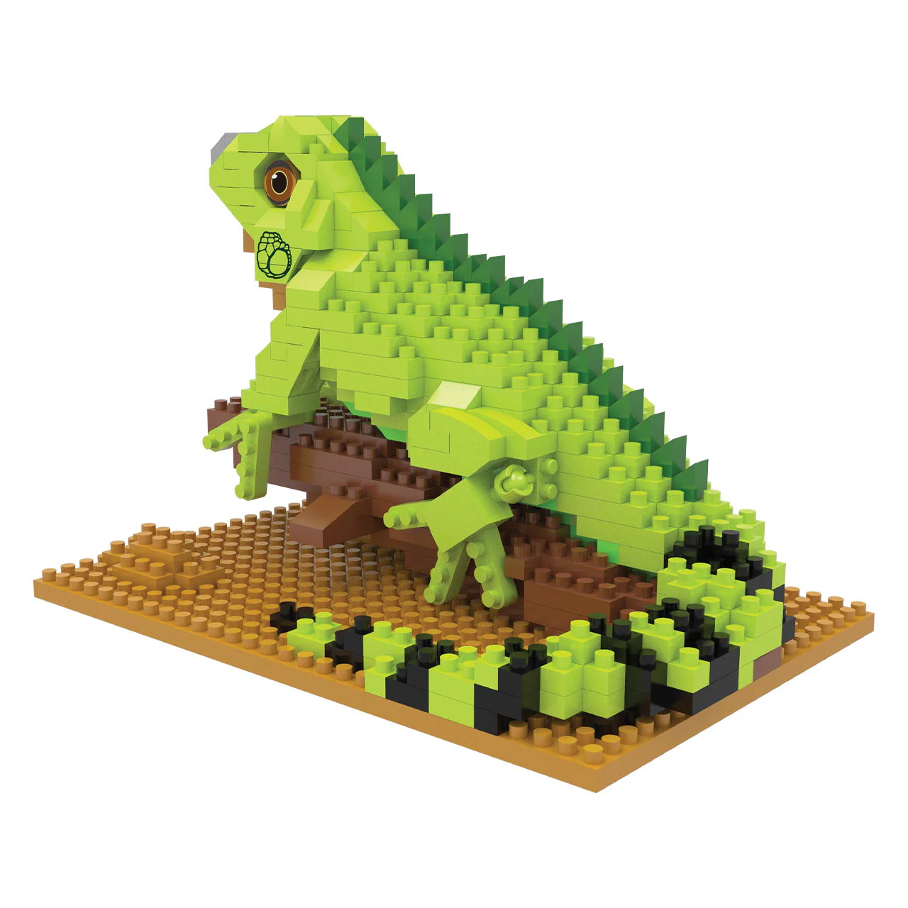Iguana - Image 3