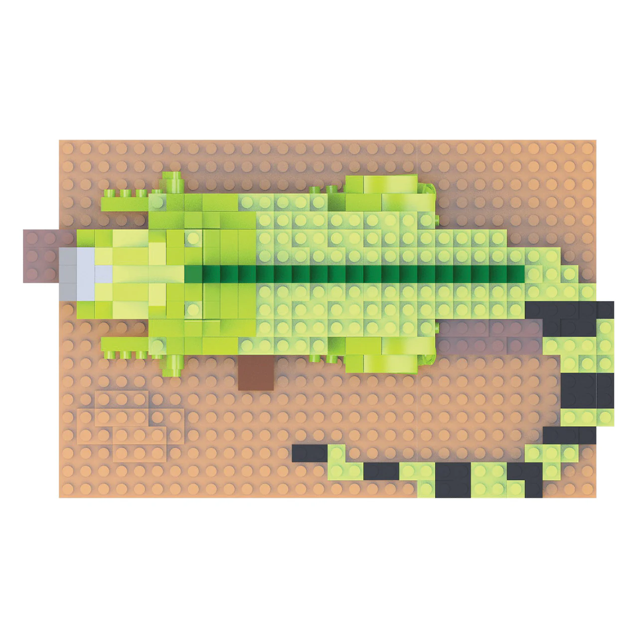 Iguana - Image 4