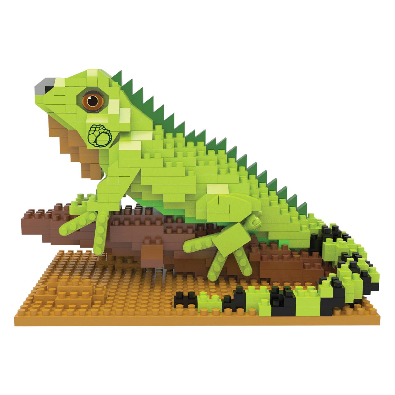 Iguana - Image 5