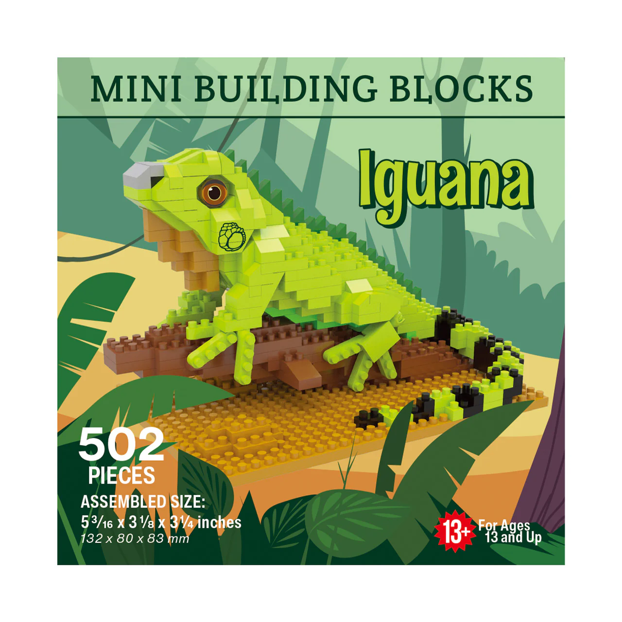 Iguana - Image 6